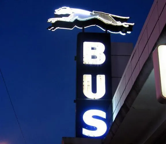 Payless Motel